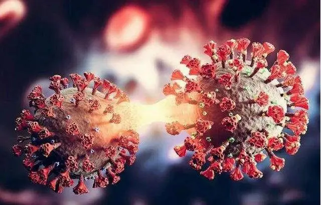 开始接种新冠疫苗_新冠三阳是啥意思_新冠三阳开始陆续出现?专家回应